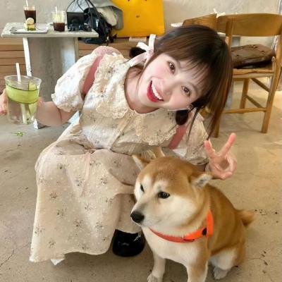 寻找爱丽丝